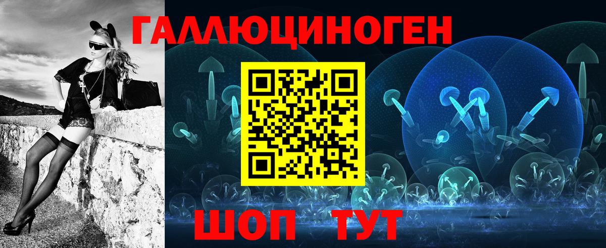 Псилоцибиновые грибы Psilocybe Лыткарино