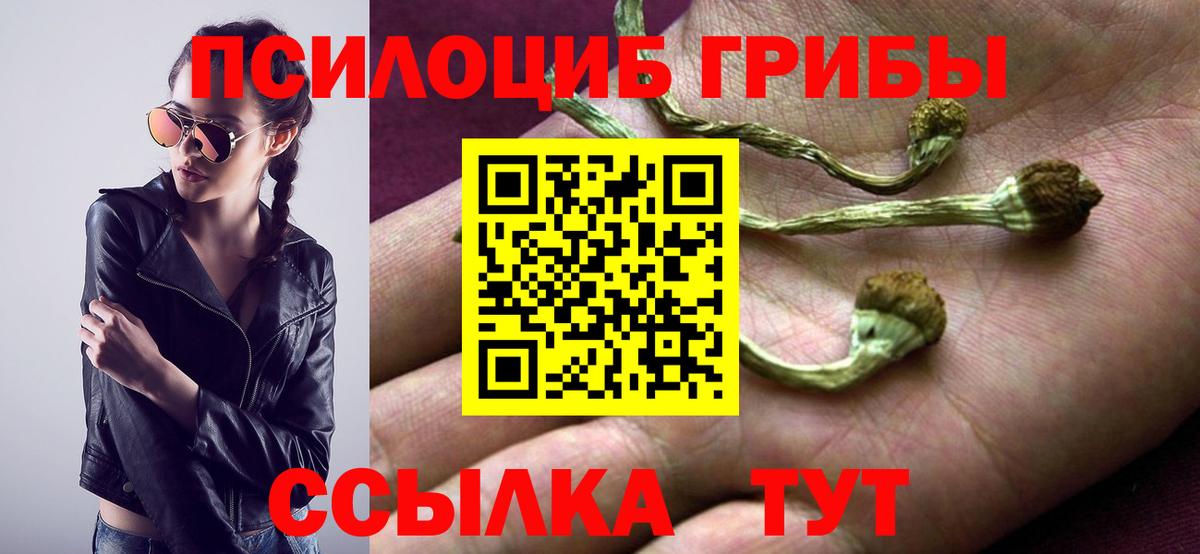 Псилоцибиновые грибы прущие грибы  Вход с VPN  Лыткарино 